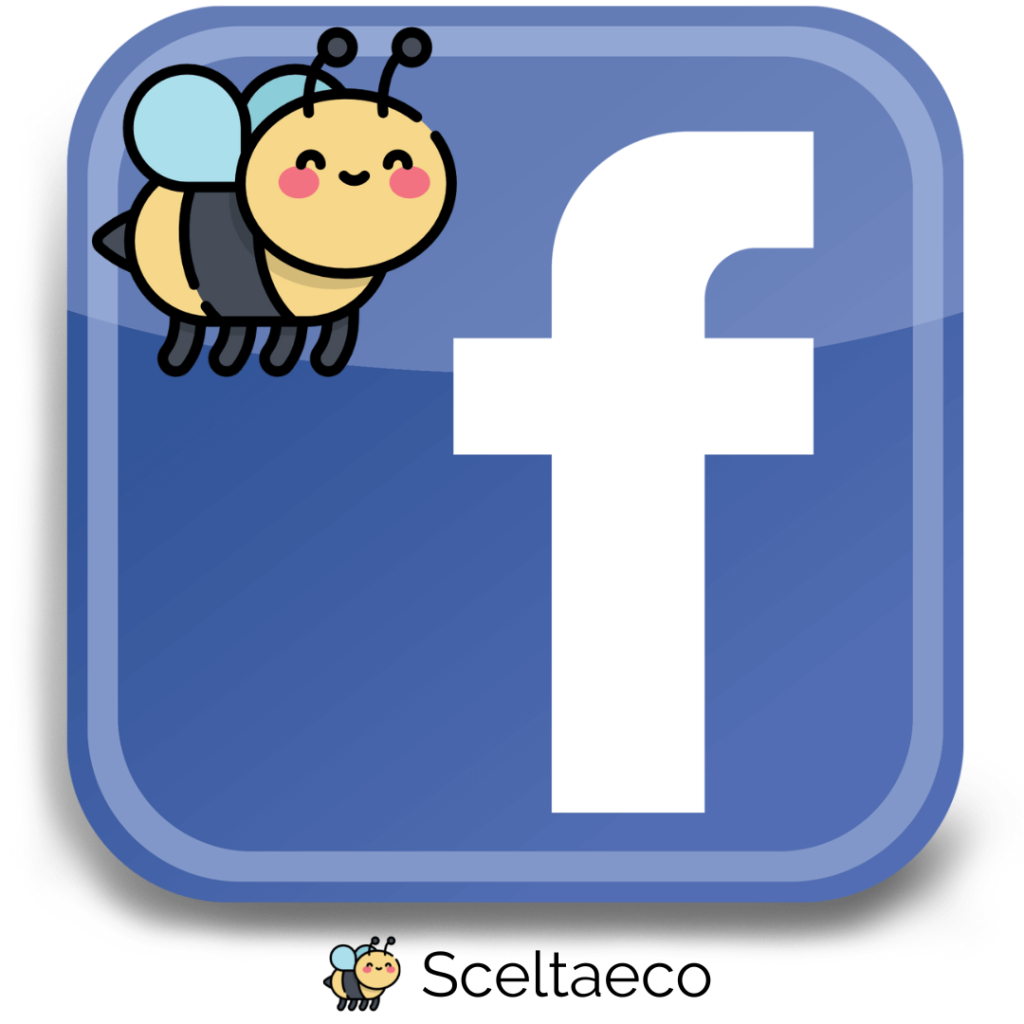 scealtaeco facebook